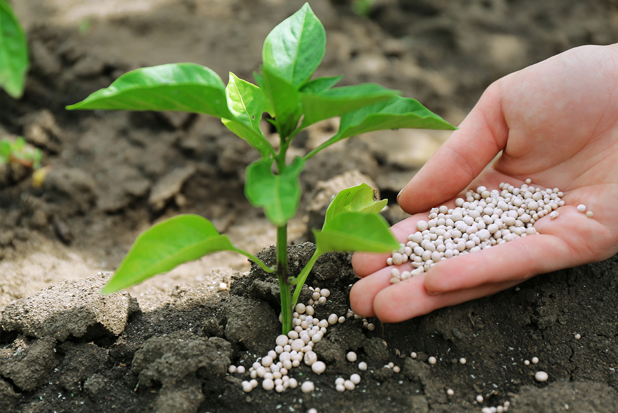 皇冠hg2021手机app下载